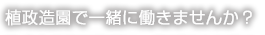 植政造園で一緒に働きませんか？