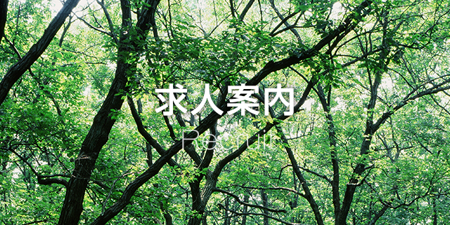 求人案内
